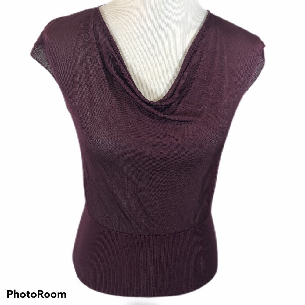 Banana Republic Sheer Maroon Blouse Size XS